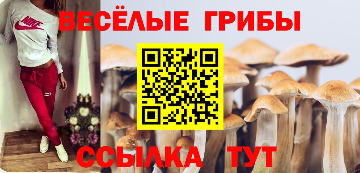 Галлюциногенные грибы Magic Shrooms Междуреченск