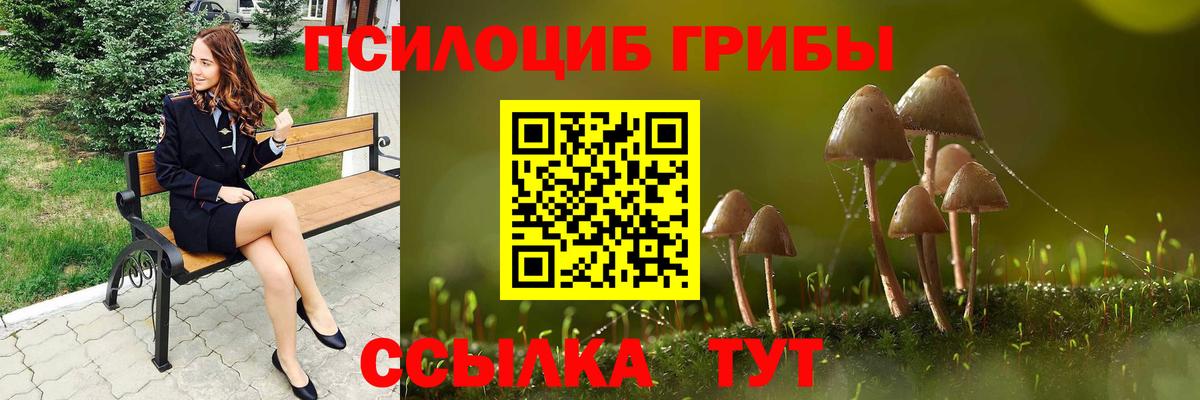 Псилоцибиновые грибы мицелий  где найти   Галлюциногенные грибы мухоморы  Междуреченск  Вход с VPN 